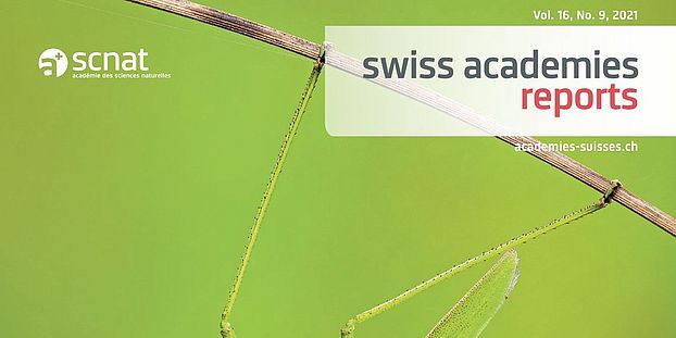 diversite des insectes en Suisse scnat