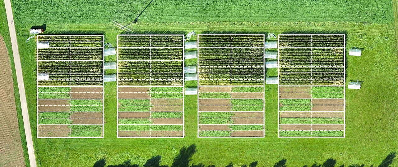Trial fields from above. Raffael Wittwer agroscope