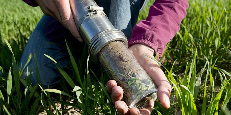 Bodenprobeentnahme Foto agroscope Andreas Braendle