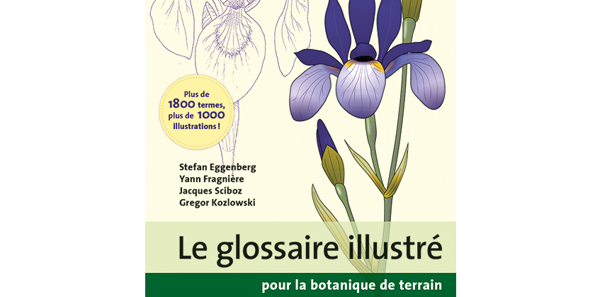 glossaire illustré cover