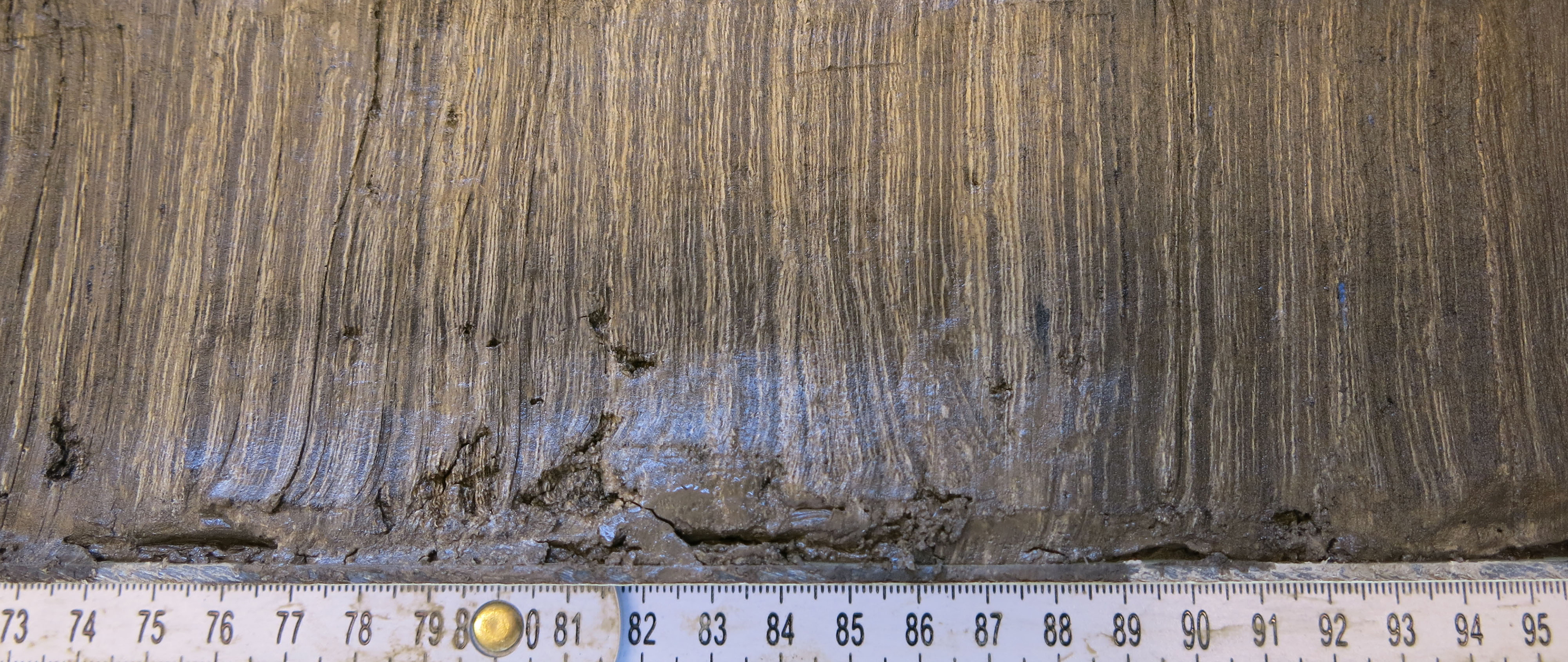 Sediment Moossee Tinner group